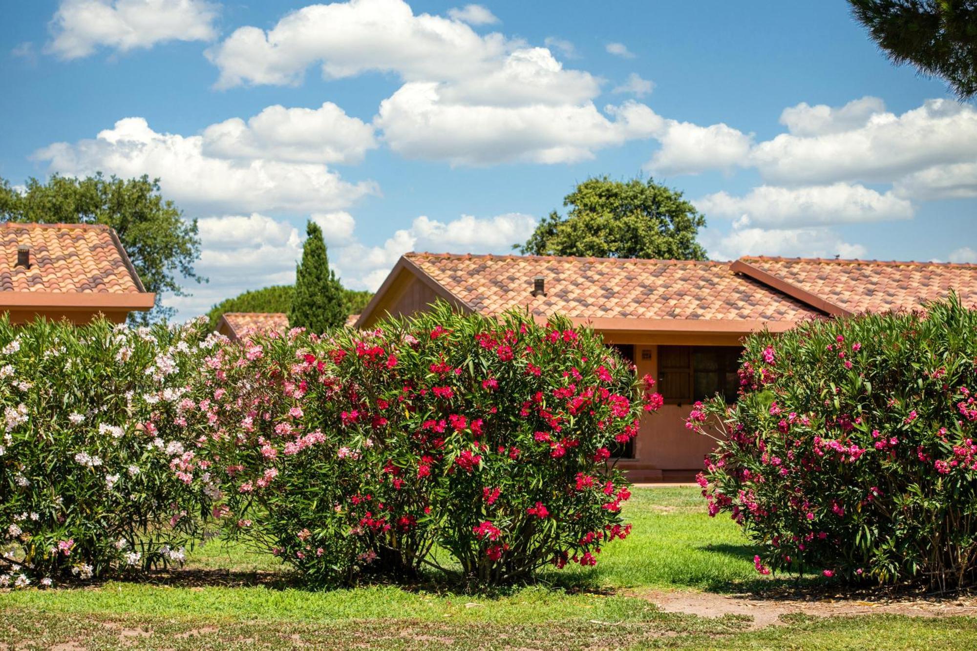 Gitavillage California Montalto di Castro Εξωτερικό φωτογραφία